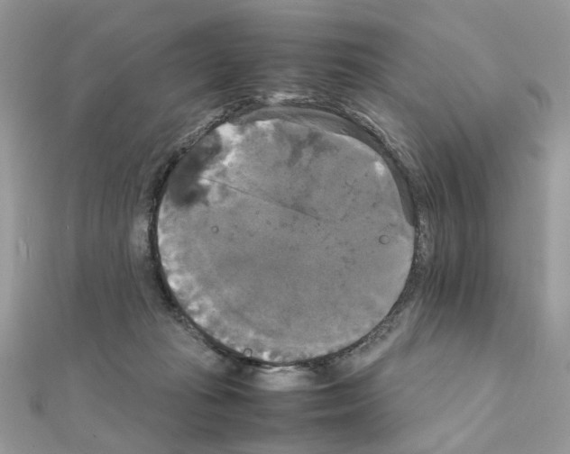 X0000111230269200908131129
