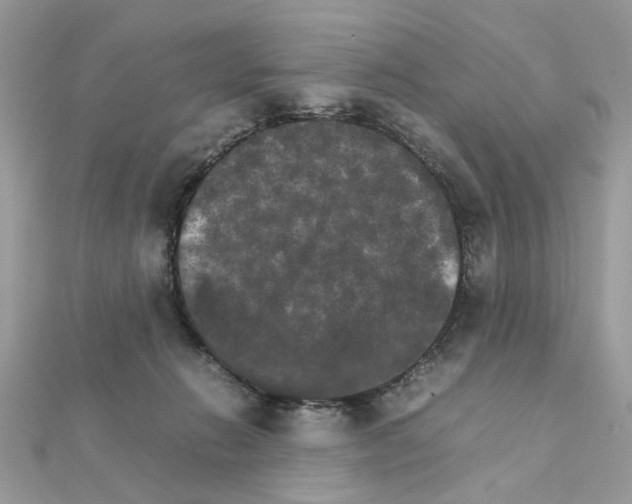 X0000111230270200908131129