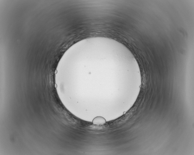 X0000111230272200908131129