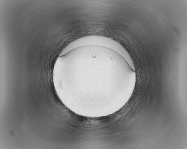 X0000111230276200908131129