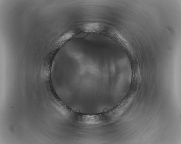 X0000111230277200908131129