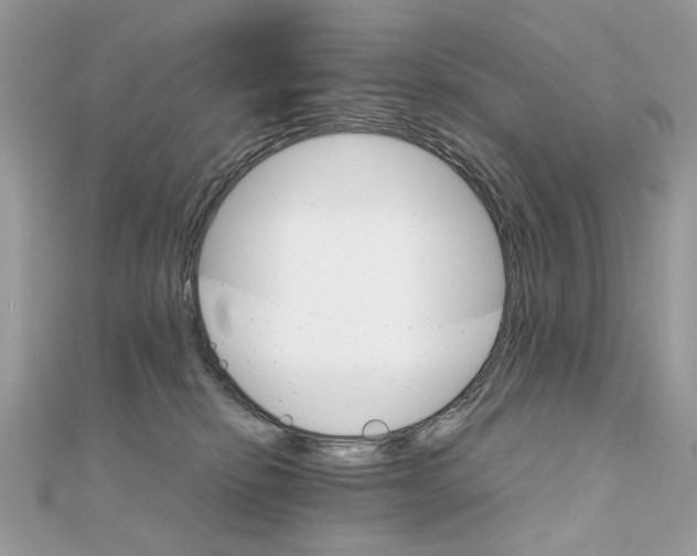 X0000111230278200908131129
