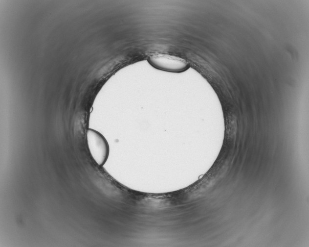 X0000111230280200908131129
