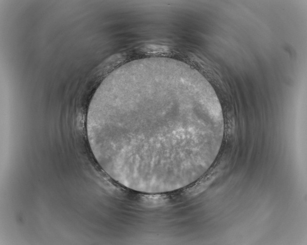 X0000111230281200908131129