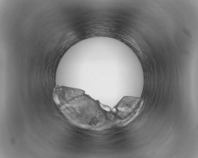 X0000111230285200908131129