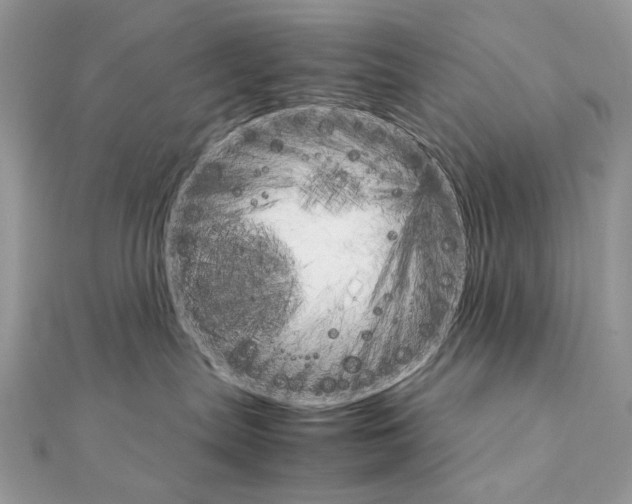 X0000111230287200908131129