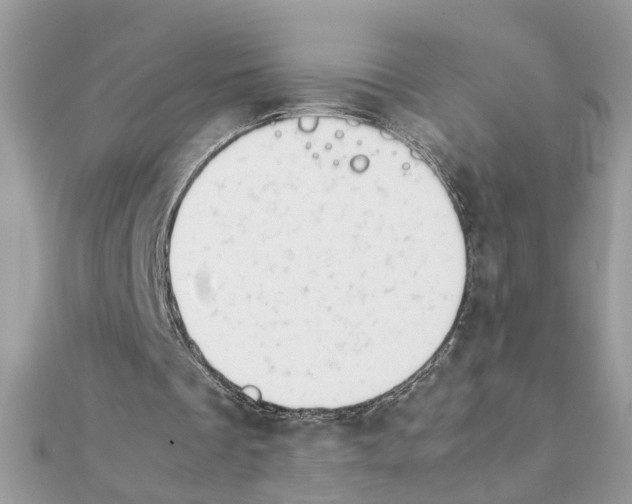X0000111230289200908131128
