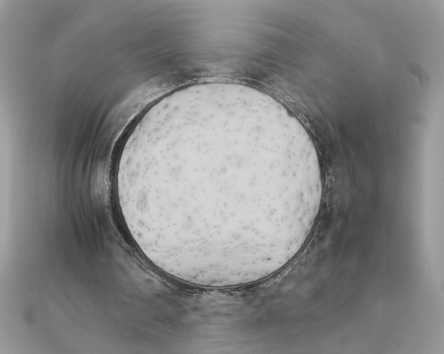 X0000111230290200908131128