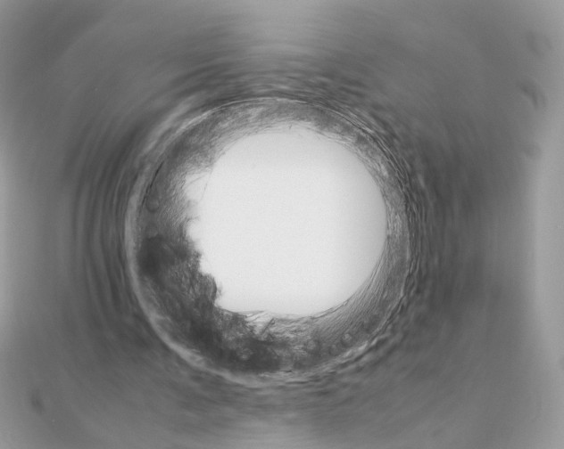 X0000111230291200908131128