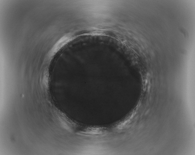 X0000111230295200908131128
