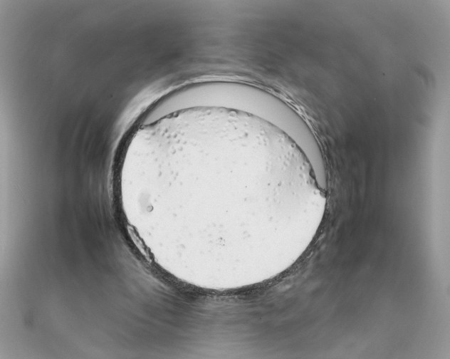 X0000111230296200908131128