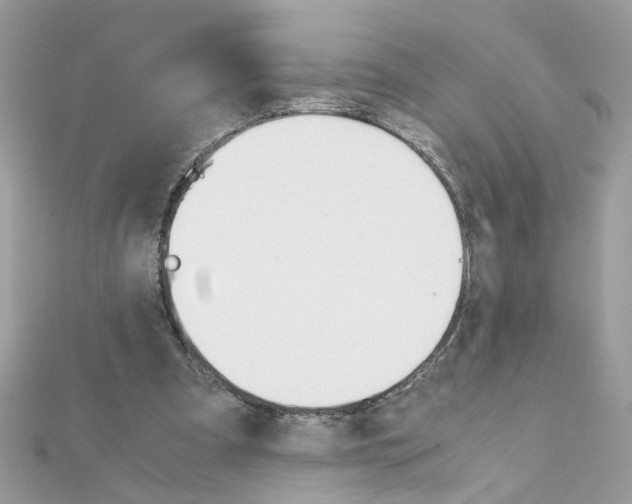 X0000111230297200908131128