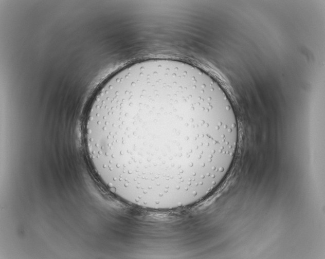 X0000111230298200908131128