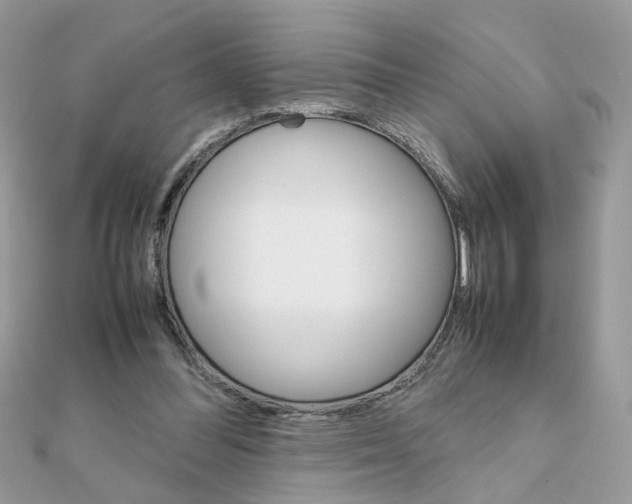 X0000111230300200908131128