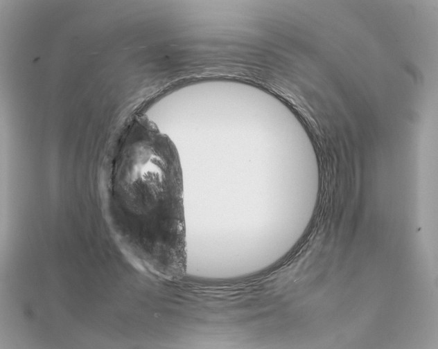 X0000111230303200908131128
