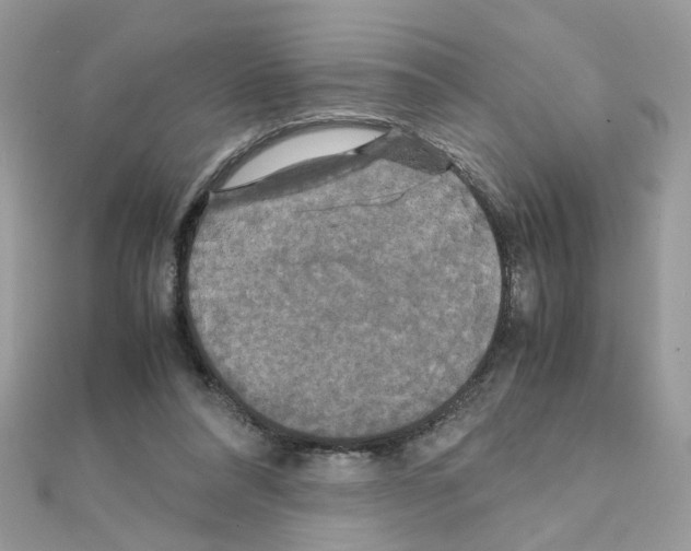 X0000111230304200908131128