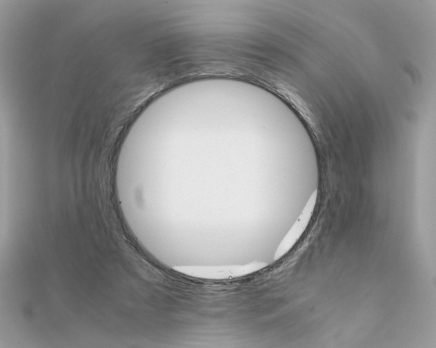 X0000111230305200908131128