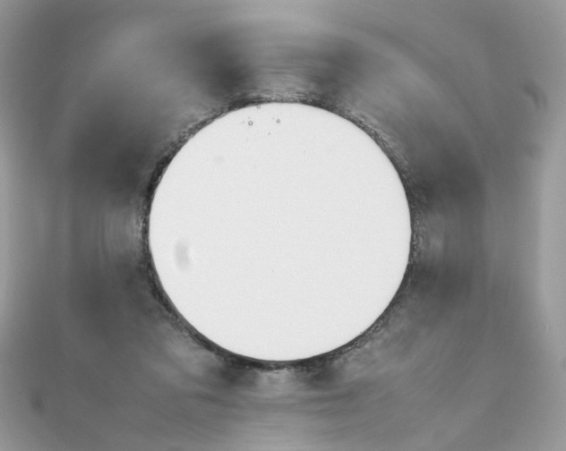 X0000111230309200908131128