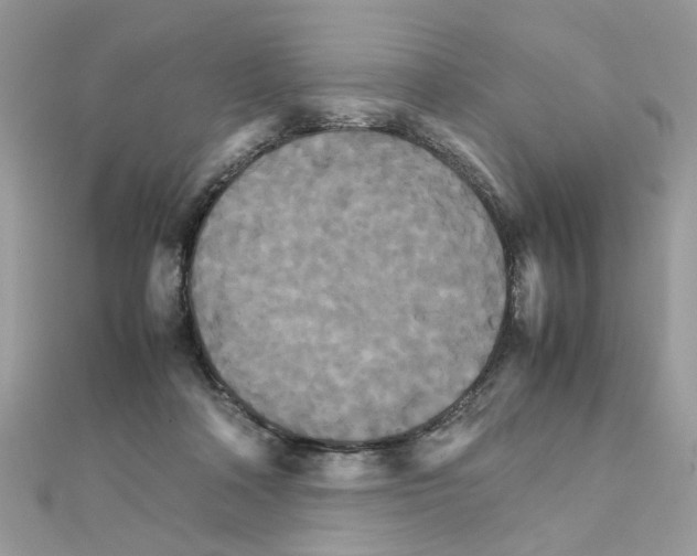 X0000111230314200908131128