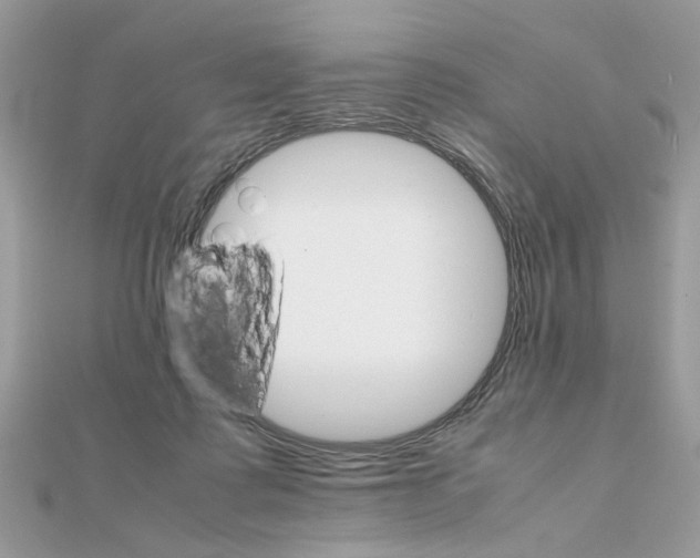 X0000111230315200908131128