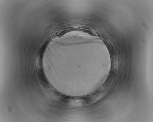 X0000111230316200908131128