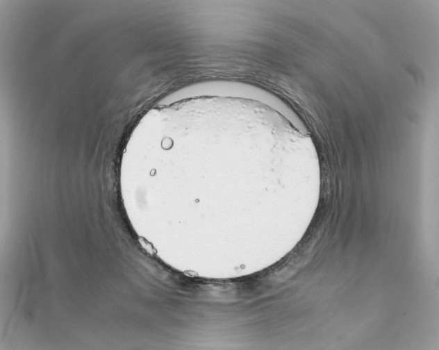 X0000111230317200908131128