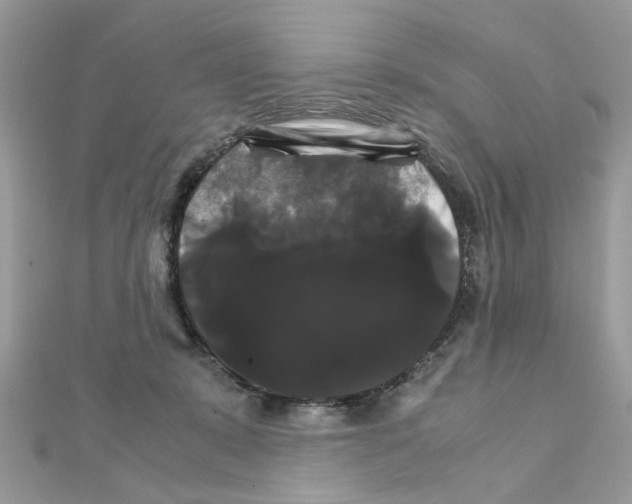 X0000111230319200908131128