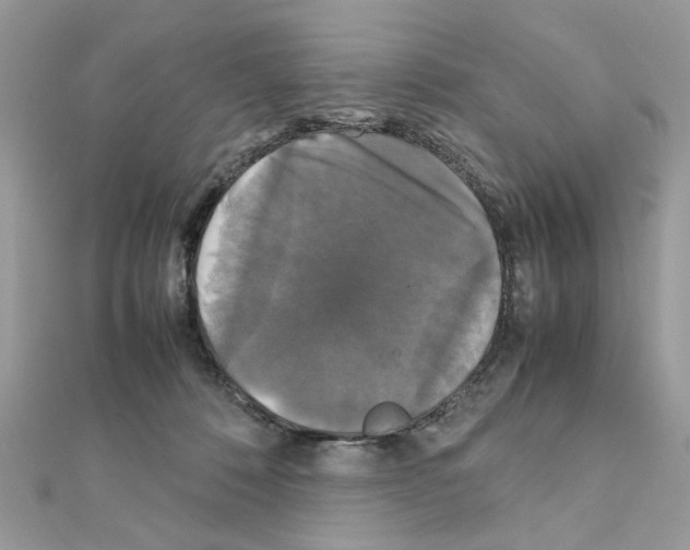 X0000111230320200908131128