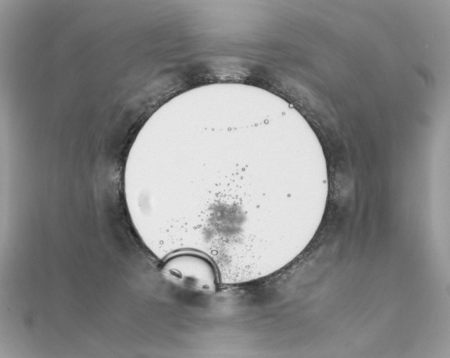 X0000111230321200908131128