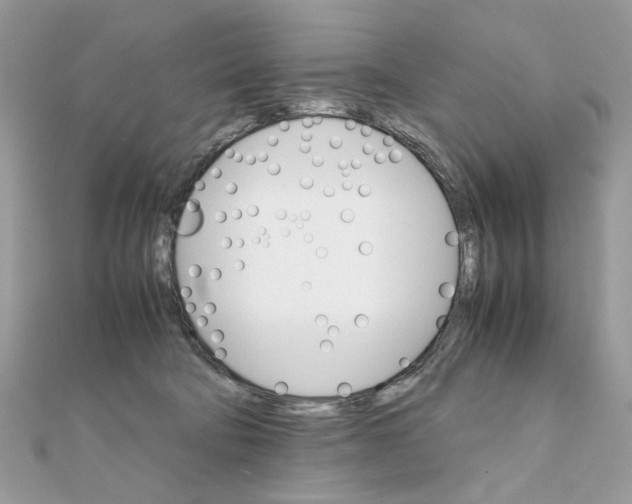 X0000111230322200908131128
