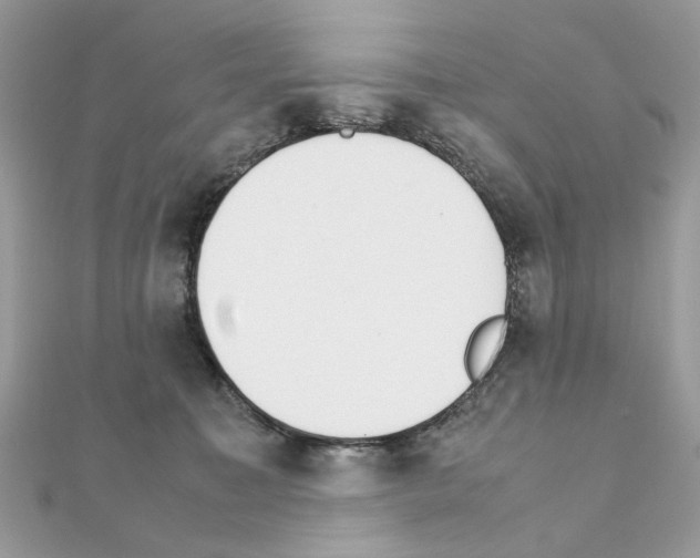 X0000111230323200908131128