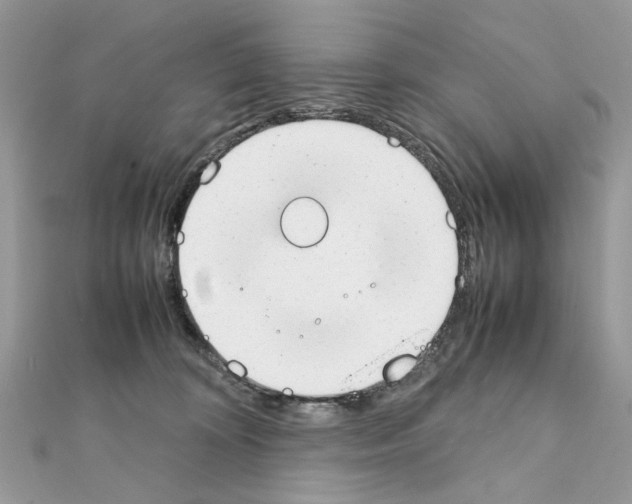 X0000111230324200908131128