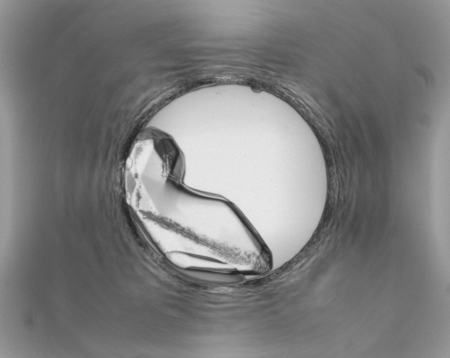 X0000111230325200908131128