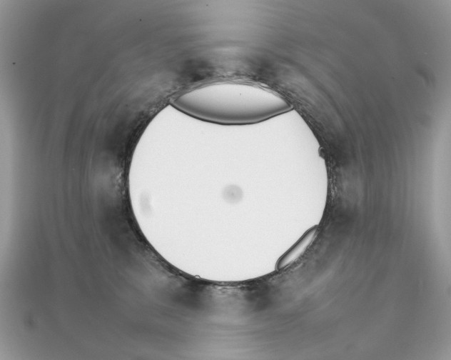 X0000111230327200908131128