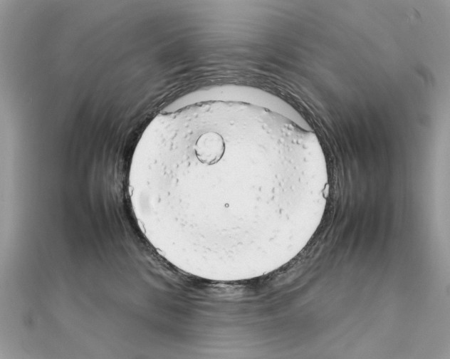 X0000111230328200908131128
