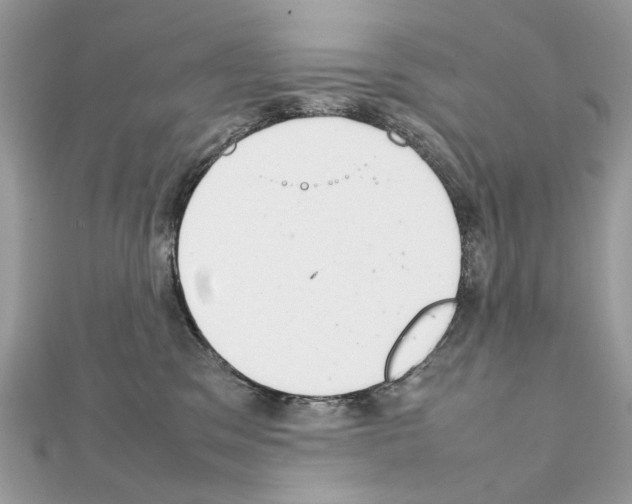 X0000111230329200908131128