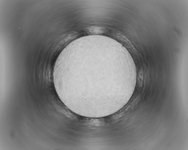X0000111230330200908131128