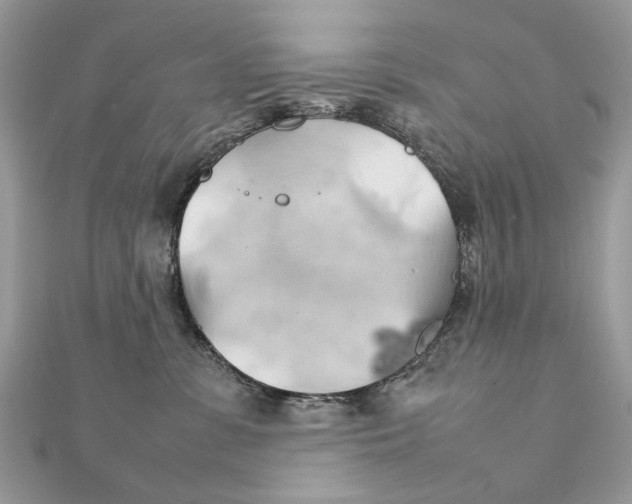 X0000111230331200908131128