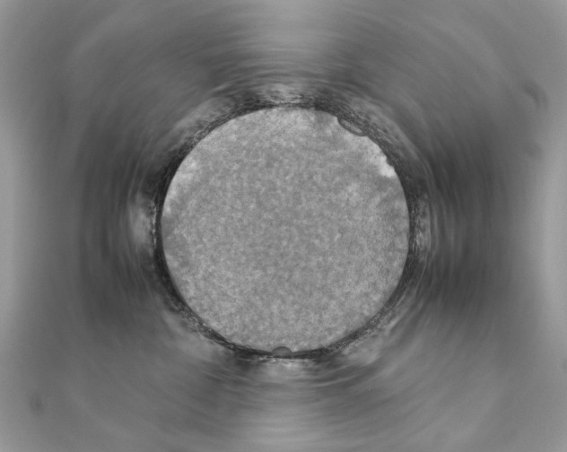 X0000111230332200908131128