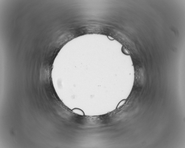 X0000111230333200908131128