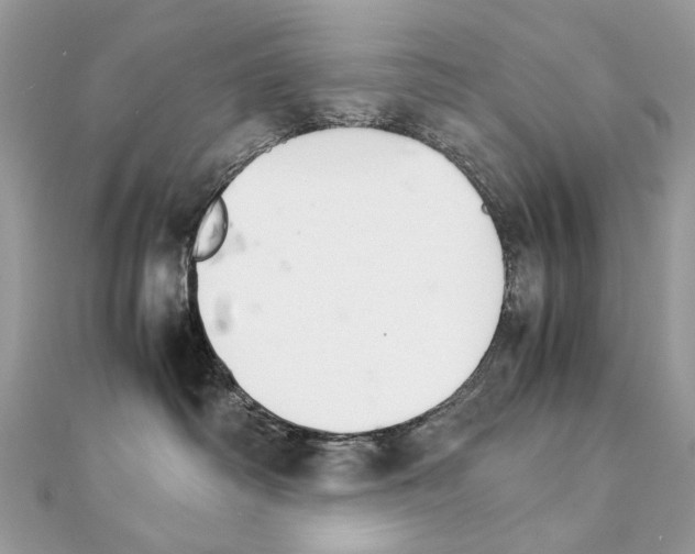 X0000111230334200908131128