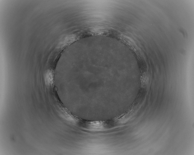 X0000111230335200908131128