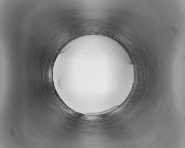 X0000111230336200908131127