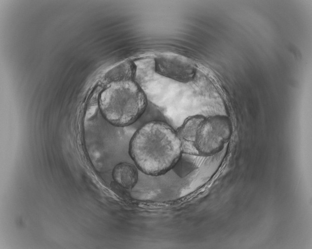 X0000111230337200908131127