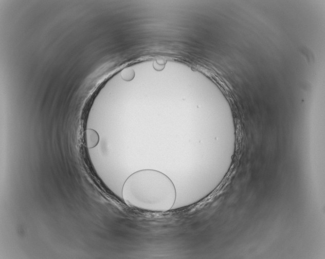 X0000111230338200908131127