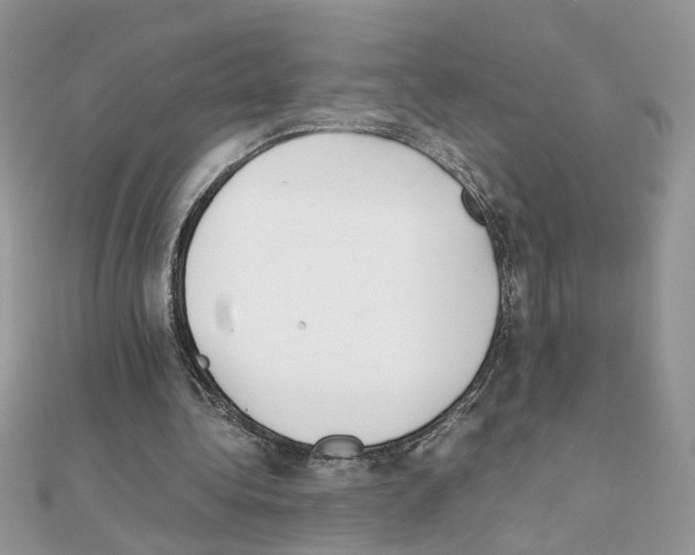 X0000111230340200908131127