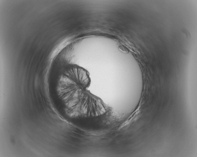 X0000111230341200908131127