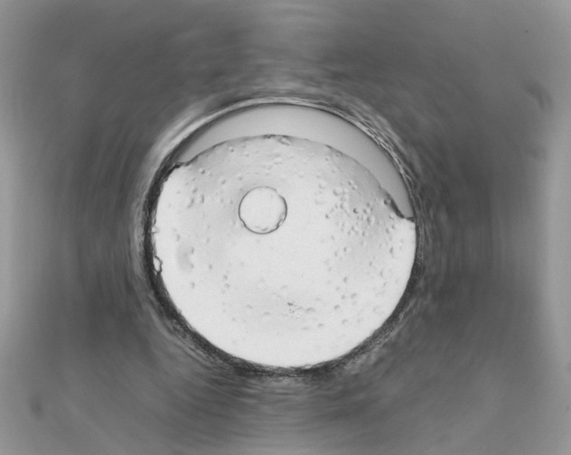X0000111230344200908131127