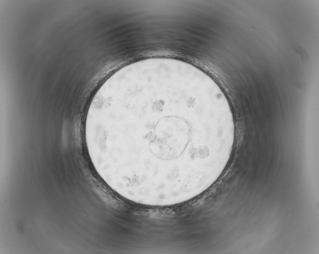 X0000111230345200908131127