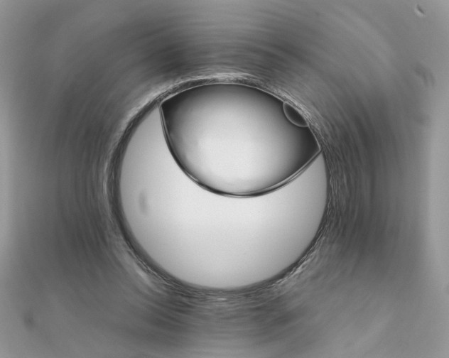 X0000111230350200908131127